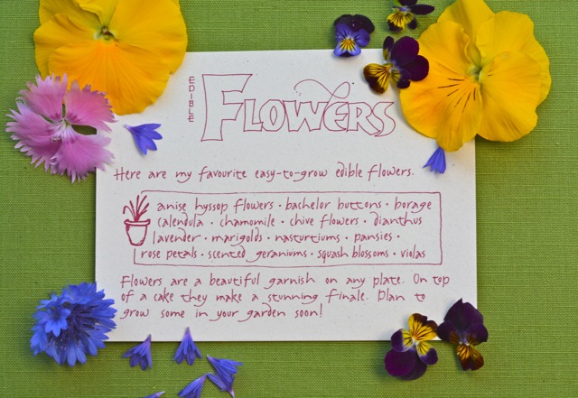 A card listing many edible flowers.