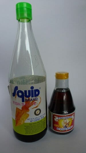 Two bottles of fish sauce