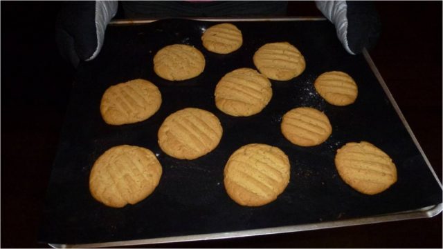 A cookie sheet full of gluten free peanut butter cookies.