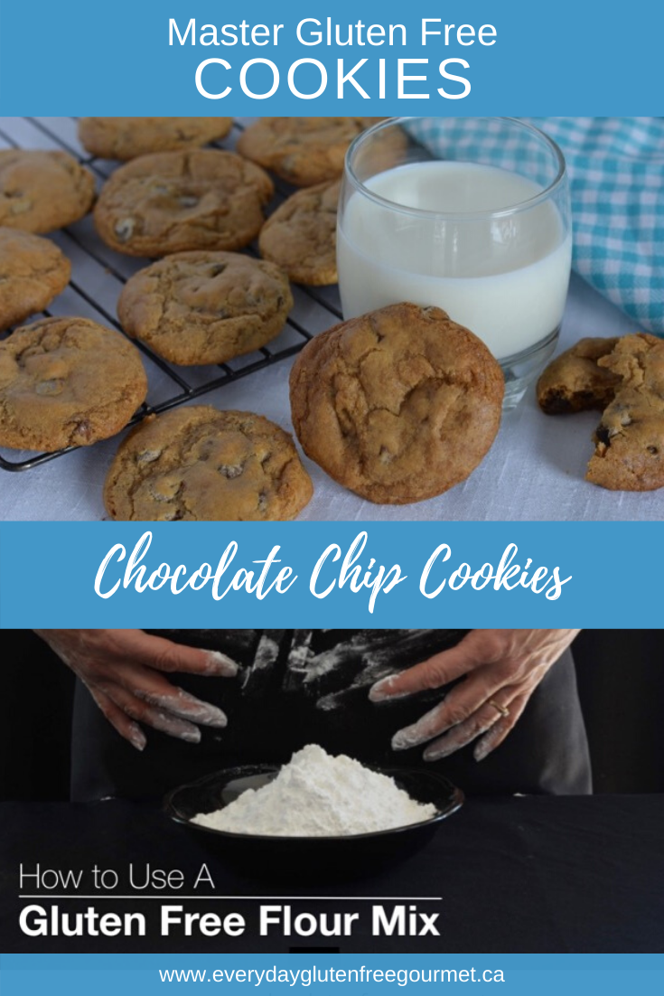 Chocolate Chip Cookies made with a gluten free flour mix