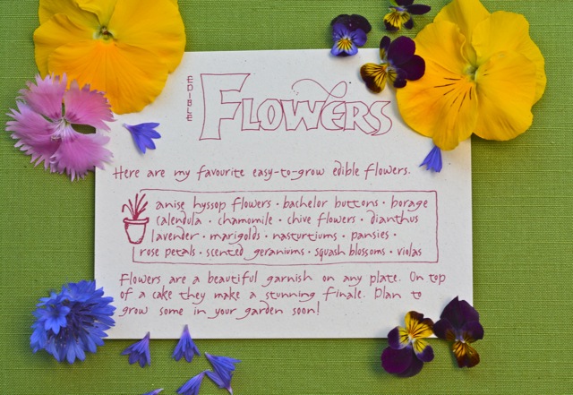 A card listing many edible flowers you can grow surrounded by fresh edible flowers from my garden.