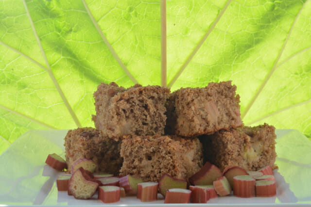 Pieces of Rhubarb Coffee Cake stacked in front of a giant rhubarb leaf.