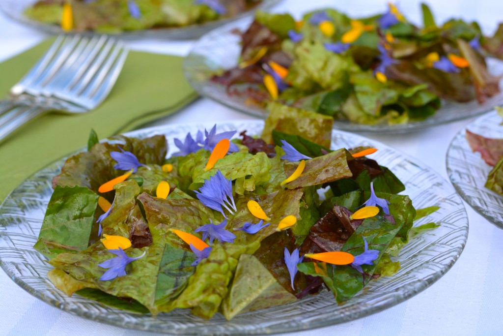 Garden greens that have just been tossed with a homemade salad dressing and sprinkled with colourful edible flower petals, wow!