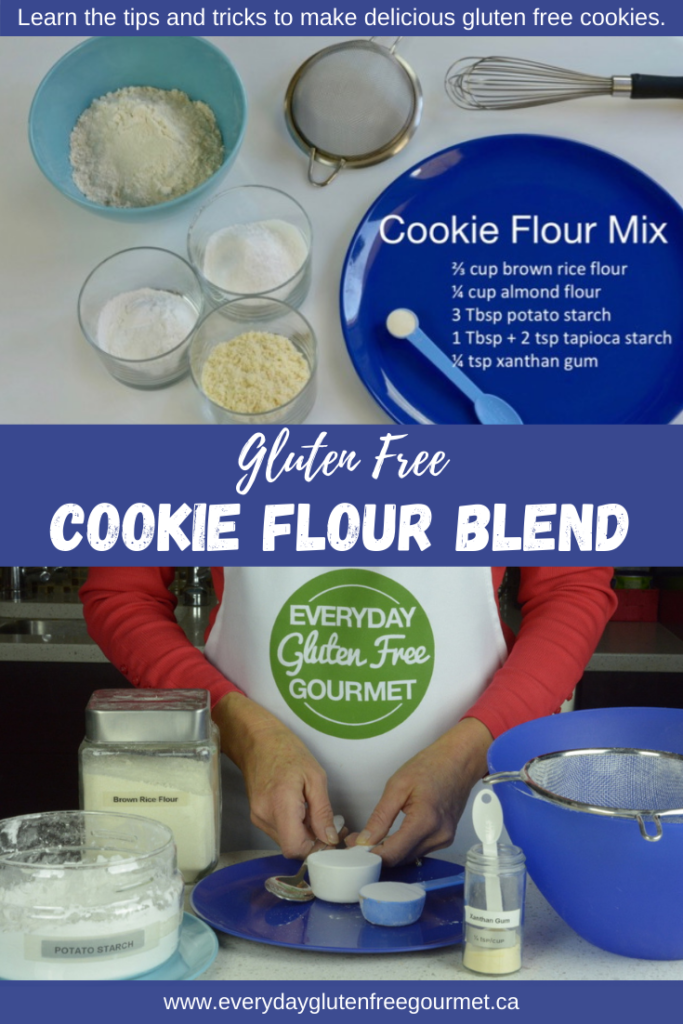 Ingredients to make a Gluten free cookie flour blend