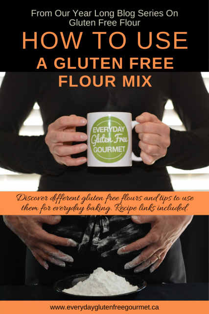 Photo of the Everyday Gluten Free Gourmet in black, holding coffee mug with logo, underneath is picture of her gluten free flour mix on a black background.