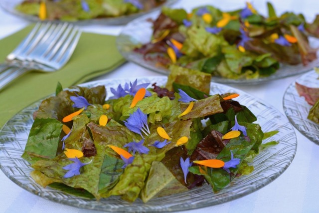 Make a basic vinaigrette salad dressing with a good quality balsamic vinegar, garnish with edible flowers for a beautiful first course.