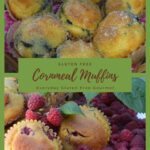 Gluten Free Cornmeal Raspberry Muffins
