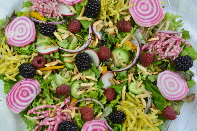 A colourful Garden Harvest Jewelled Salad with sliced candy cane beets, grated golden beets, raspberries, blackberries and more on a bed of mixed greens.