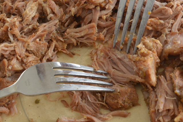 Close up of 2 forks pulling cooked pork.