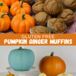 Pumpkin Ginger Muffins beside mini pumpkins including ghost pumpkins and a large pumpkin painted teal for Allergy Awareness.