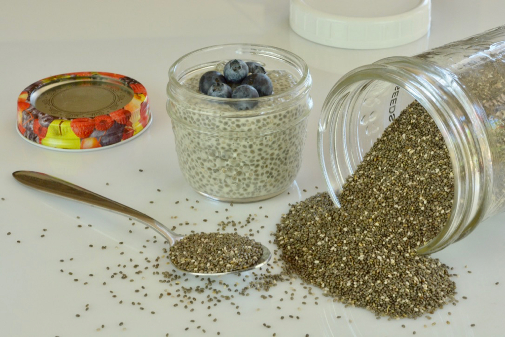 Chia seeds and chia pudding topped with blueberries