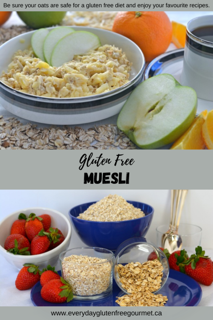 A bowl of muesli and a bowl of safe gluten free oats.