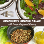 A plate of Cranberry Orange Salad with Orange Poppyseed Dressing plus a pan of toasted pecans beside a dish of the dressing.