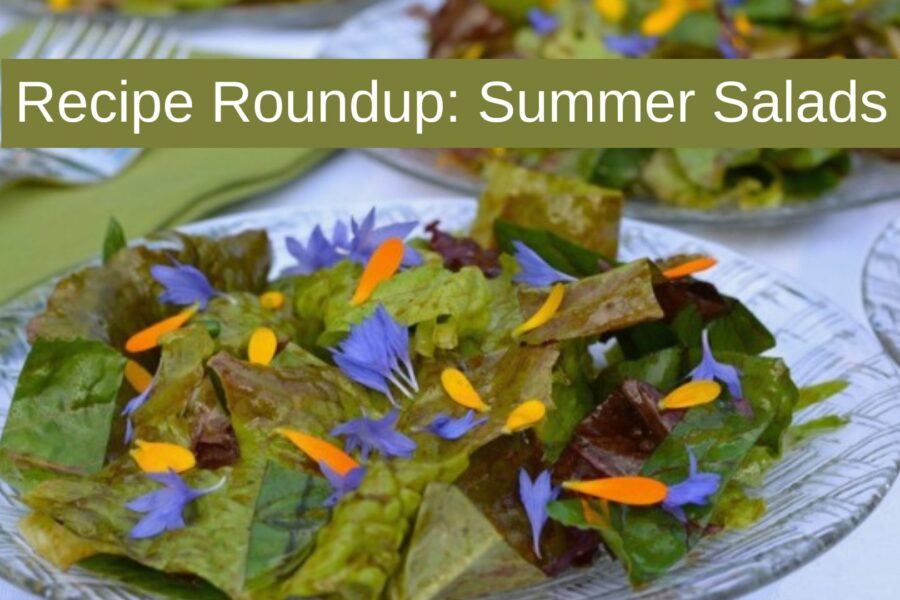 A green salad on a plate garnished with edible flower petals in blue and orange.