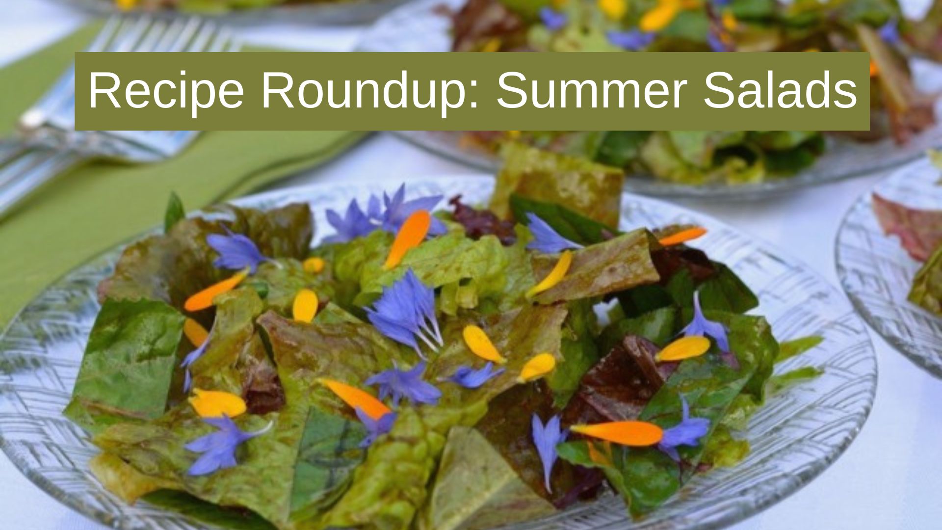 Recipe Roundup: Summer Salads