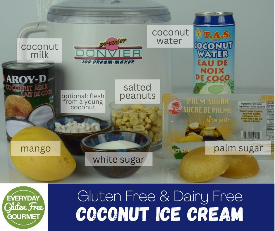 A Donvier ice cream maker surrounded by all the ingredients to make coconut ice cream.