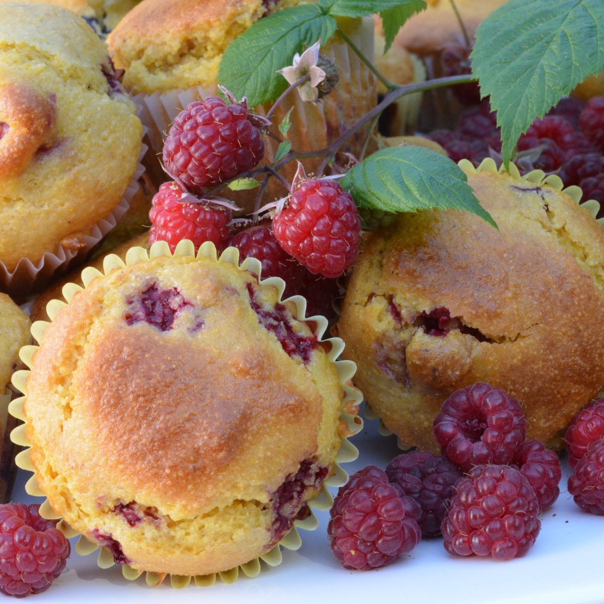 A white tray of Cornmeal Raspberry Muffins and freshly picked raspberries.