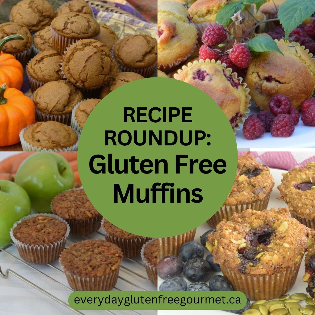 4 different Gluten Free Muffins; pumpkin ginger, raspberry cornmeal, morning glory and blueberry granola.