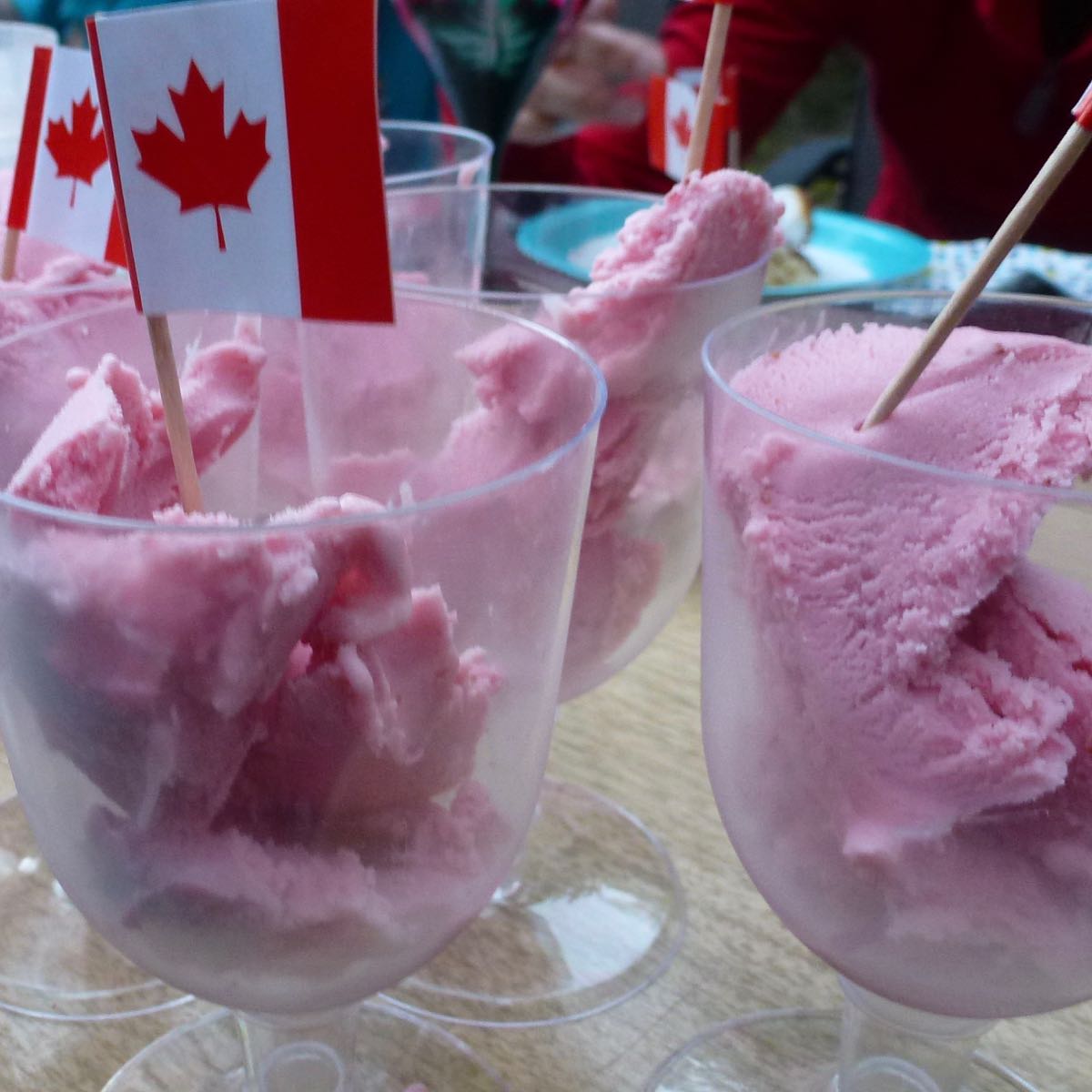 Dishes of Strawberry Cheesecake Ice Cream with a tiny Canadian flag in each one.