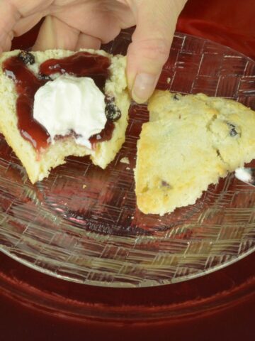 A Cranberry Orange Scone topped with jam and whipped cream with a bite missing.