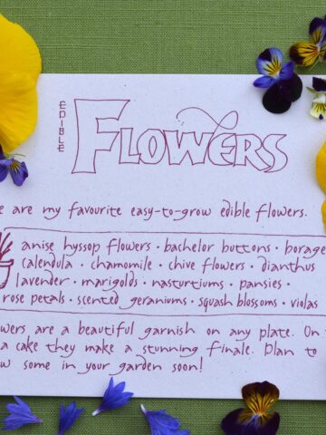A card listing many edible flowers you can grow surrounded by fresh edible flowers from my garden.