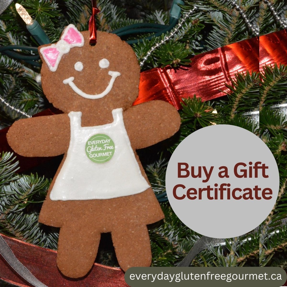 A gingerbread lady cookie wearing a white icing apron hanging on a Christmas tree beside a silver ornament saying Buy a Gift Certificate.