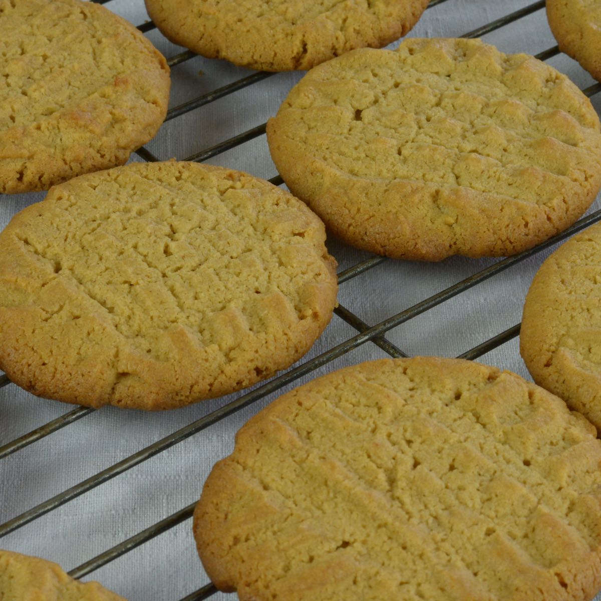 Peanut Butter Cookies, each marked with a fork, on a wire rack.