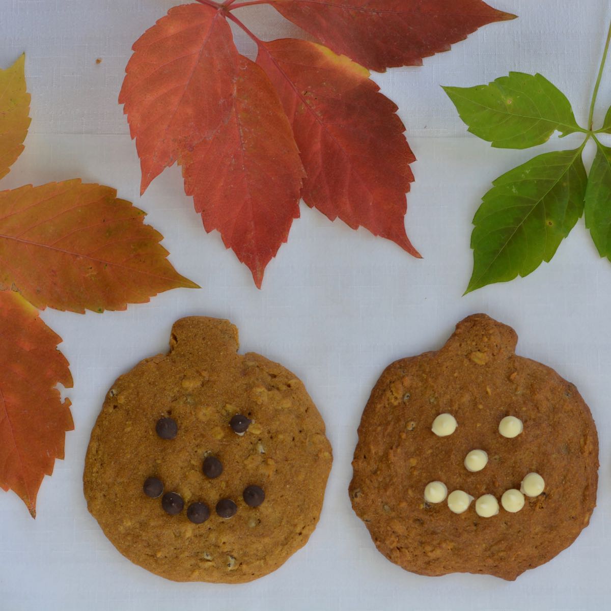 Kids love the chocolate chip freckles in these Pumpkin Chocolate Chip Cookies in the shape of jack-o-lanterns.