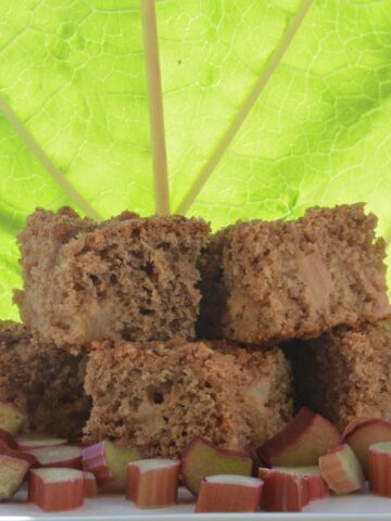 Pieces of Rhubarb Coffee Cake stacked in front of a giant rhubarb leaf.
