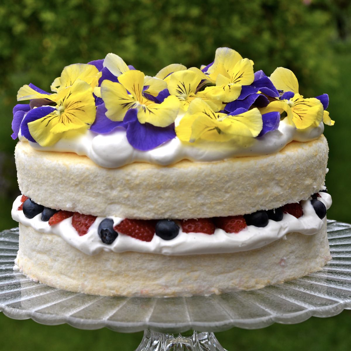 A Gluten Free Angel Food Cake filled with whipped cream and fresh berries, garnished with yellow and purple pansies and served on a glass pedestal tray.