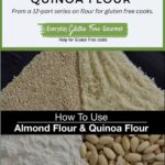 A plate showing four ingredients; whole almonds, almond flour, quinoa seeds and quinoa flour.
