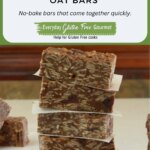 A close up of Chocolate Coconut Oat Bars showing the strands of coconut and the dried fruit inside.