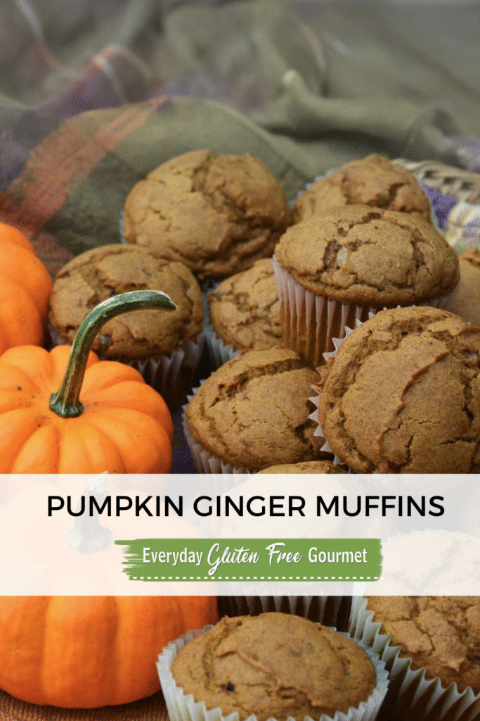 A basket of gluten free Pumpkin Ginger Muffins beside orange mini pumpkins.